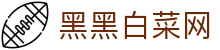 黑黑白菜网 - 汇聚资深玩家分享实战技巧与福利资讯的互动空间